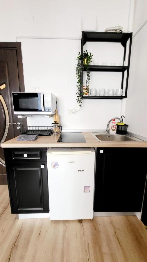 Central Studio Sapphire Apartman Bukarest Kültér fotó